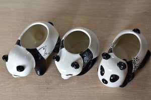 Panda succulent pot - cute animal flower planter