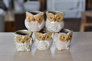 owl succulent pots Small owl succulent pot