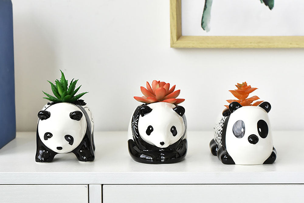 Panda succulent pot - cute animal flower planter