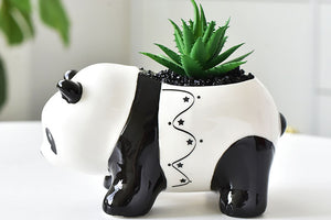 Panda succulent pot - cute animal flower planter