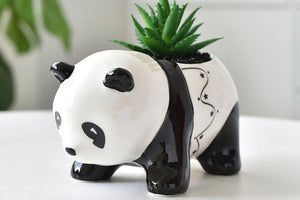 Panda succulent pot - cute animal flower planter