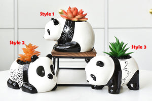 Panda succulent pot - cute animal flower planter