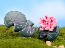 Load image into Gallery viewer, 2 × Miniature lotus– Fairy Garden - DIY material - Terrarium material
