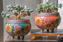 Load image into Gallery viewer, Handpainted succulent pots - flower planters - ceramic pots (11.7cm ×10.6cm)
