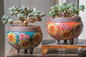 Handpainted succulent pots - flower planters - ceramic pots (11.7cm ×10.6cm)