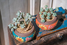 Load image into Gallery viewer, Handpainted succulent pots - flower planters - ceramic pots (11.7cm ×10.6cm)
