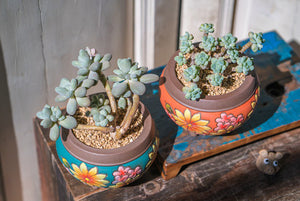 Handpainted succulent pots - flower planters - ceramic pots (11.7cm ×10.6cm)