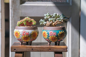 Handpainted succulent pots - flower planters - ceramic pots (11.7cm ×10.6cm)