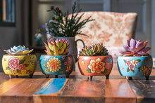 Load image into Gallery viewer, Handpainted succulent pots - flower planters - ceramic pots (13.2cm ×9.6cm)
