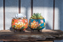 Load image into Gallery viewer, Handpainted succulent pots - flower planters - ceramic pots (11cm ×9.8cm)
