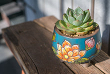 Load image into Gallery viewer, Handpainted succulent pots - flower planters - ceramic pots (11cm ×9.8cm)
