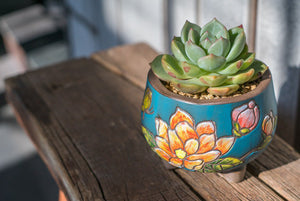 Handpainted succulent pots - flower planters - ceramic pots (11cm ×9.8cm)