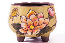 Load image into Gallery viewer, Handpainted succulent pots - flower planters - ceramic pots (11cm ×9.8cm)
