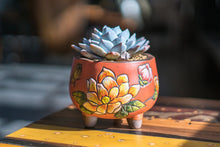 Load image into Gallery viewer, Handpainted succulent pots - flower planters - ceramic pots (11cm ×9.8cm)
