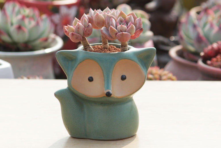 Ceramic fox planters - succulent pots - glaze ceramic planter (8.5cm×10cm)