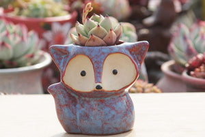 Ceramic fox planters - succulent pots - glaze ceramic planter (8.5cm×10cm)