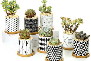 Geometric pots - succulent planters with plate - ceramic pots (7.1cm * 6.6cm)