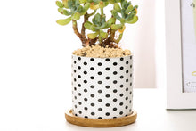 Load image into Gallery viewer, Geometric pots - succulent planters with plate - ceramic pots (7.1cm * 6.6cm)
