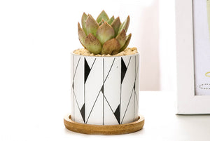 Geometric pots - succulent planters with plate - ceramic pots (7.1cm * 6.6cm)