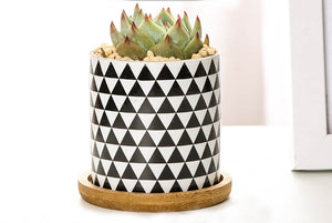 Geometric pots - succulent planters with plate - ceramic pots (7.1cm * 6.6cm)