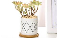 Load image into Gallery viewer, Geometric pots - succulent planters with plate - ceramic pots (7.1cm * 6.6cm)
