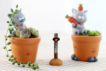 Load image into Gallery viewer, Animal Pots - Cat Planters - Succulent pots - Made of Resin
