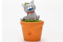 Load image into Gallery viewer, Animal Pots - Cat Planters - Succulent pots - Made of Resin
