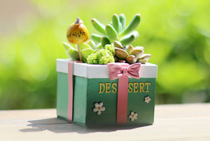 Candy Box - Party Planters - Succulent Resin pots (6.5 cmx6.5cm×5 cm)