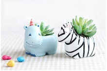 Load image into Gallery viewer, Animal Pots - Zebra Planters - Hippo pots -For Succulent - Made of Resin
