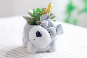 Animal Pots - Dog Planters - Succulent pots - Made of Resin