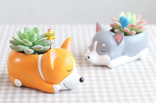 Load image into Gallery viewer, Animal Pots - Dog Planters - Succulent pots - Made of Resin
