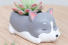 Load image into Gallery viewer, Animal Pots - Dog Planters - Succulent pots - Made of Resin
