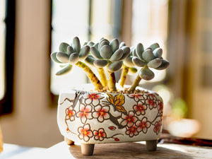 Handpainted plant pots - flower planters - ceramic pots (11.9cm ×10.5cm ×7.4cm)