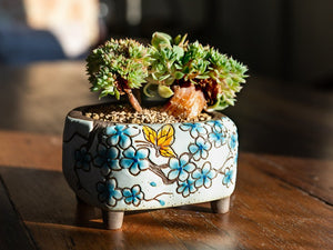 Handpainted plant pots - flower planters - ceramic pots (11.9cm ×10.5cm ×7.4cm)