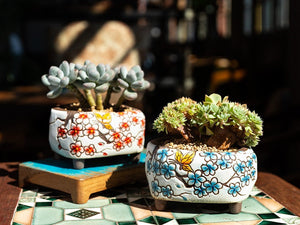 Handpainted plant pots - flower planters - ceramic pots (11.9cm ×10.5cm ×7.4cm)