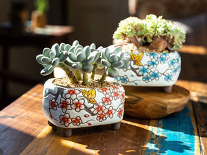 Handpainted plant pots - flower planters - ceramic pots (11.9cm ×10.5cm ×7.4cm)