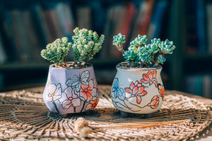 Angularr succulent pots - indoor outdoor planters