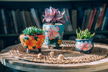 Load image into Gallery viewer, Handpainted succulent pots - flower planters - ceramic pots
