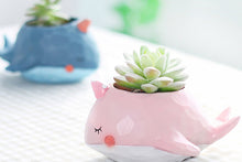 Load image into Gallery viewer, Animal Pots - Whale Planters - Succulent pots - Made of Resin (13.5cm*7cm)
