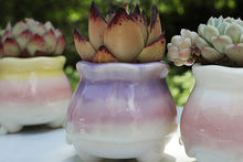 Load image into Gallery viewer, Cute pots - succulent planters - ceramic pots (6.8cm * 7.5cm)
