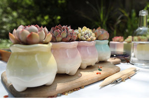 Cute pots - succulent planters - ceramic pots (6.8cm * 7.5cm)