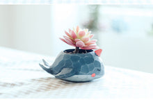 Load image into Gallery viewer, Animal Pots - Whale Planters - Succulent pots - Made of Resin (13.5cm*7cm)
