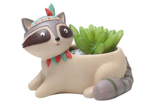 Load image into Gallery viewer, Animal Pots - Bear Racoon Elephant Planters - Succulent pots - Made of Resin
