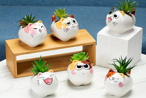 Adorable cat pots - flower planters - ceramic pots (10cm×7.5cm×7cm)