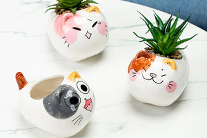 Adorable cat pots - flower planters - ceramic pots (10cm×7.5cm×7cm)