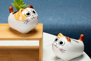 Adorable cat pots - flower planters - ceramic pots (10cm×7.5cm×7cm)