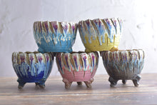 Load image into Gallery viewer, Crackled style pots - round succulent planters (12/13cm × 10/11cm)
