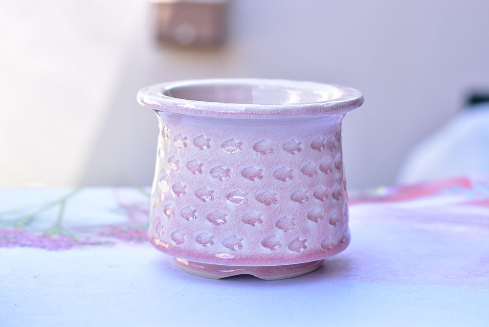 Full print succulent pot - ice crackle flower planter3 (13*10cm)