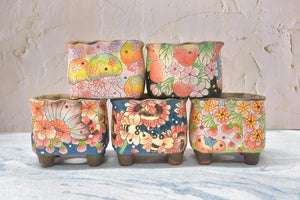 【Doris's collection】Handpainted succulent pots - flower planters (11cm*9.5cm*10cm)