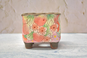 【Doris's collection】Handpainted succulent pots - flower planters (11cm*9.5cm*10cm)